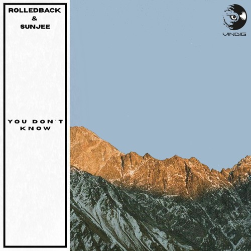 You Don't Know (with Sunjee) [Vinyl Digital Release]