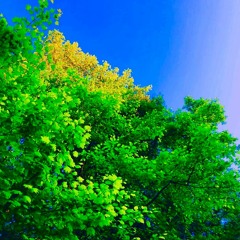 Pieces (Prod. Taweep)