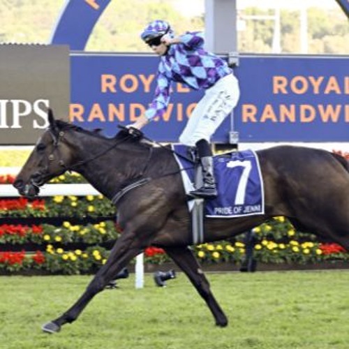 Stream episode Punter's Preamble 2024 Everest Day by Racing & Sports