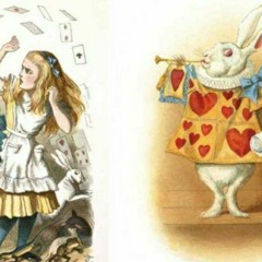 chasing the white rabbit