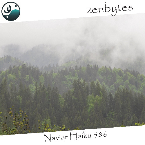 fog dissolves - Naviarhaiku586