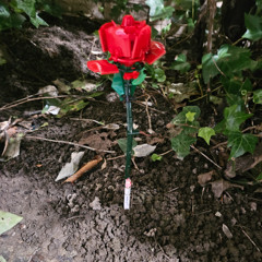 promise with me(Demo)