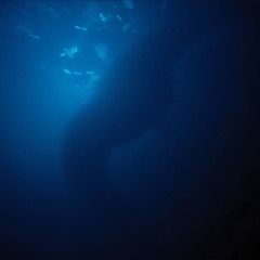 JPH - still holding on