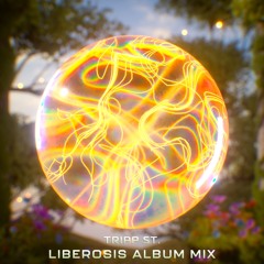 LIBEROSIS Album Mix
