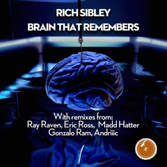 Rich Sibley - Brain That Remembers (MaDD Hatter Remix)