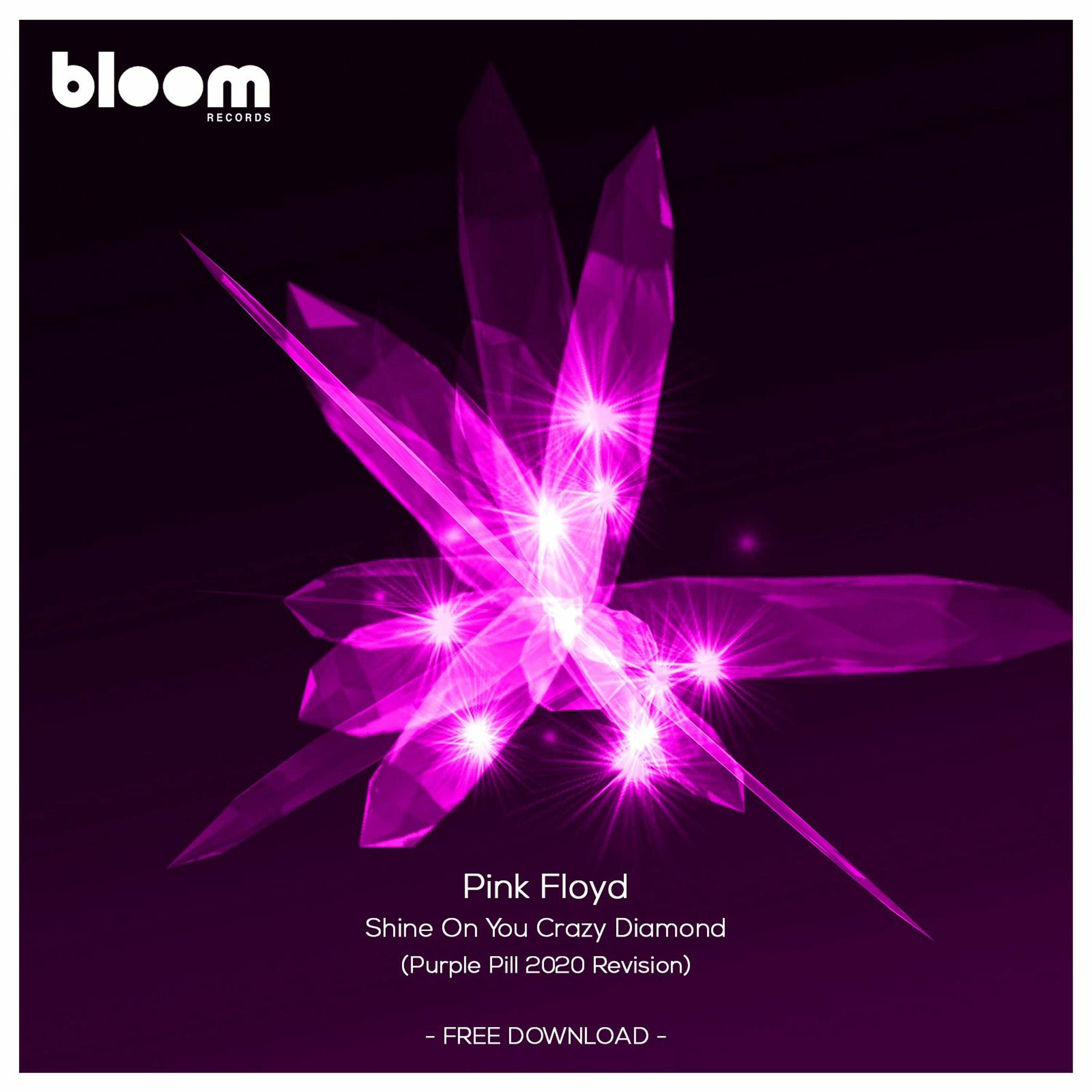 FREE DOWNLOAD: Pink Floyd - Shine On You Crazy Diamond ( Purple Pill Edit )  by BLOOM RECORDS PODCAST | Podchaser
