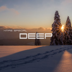 DEEP XMAS SPECIAL 2025 [Mees Salomé, Tinlicker, Yotto, Marsh, Joris Voorn & more]