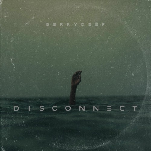 BerryDeep - Disconnect
