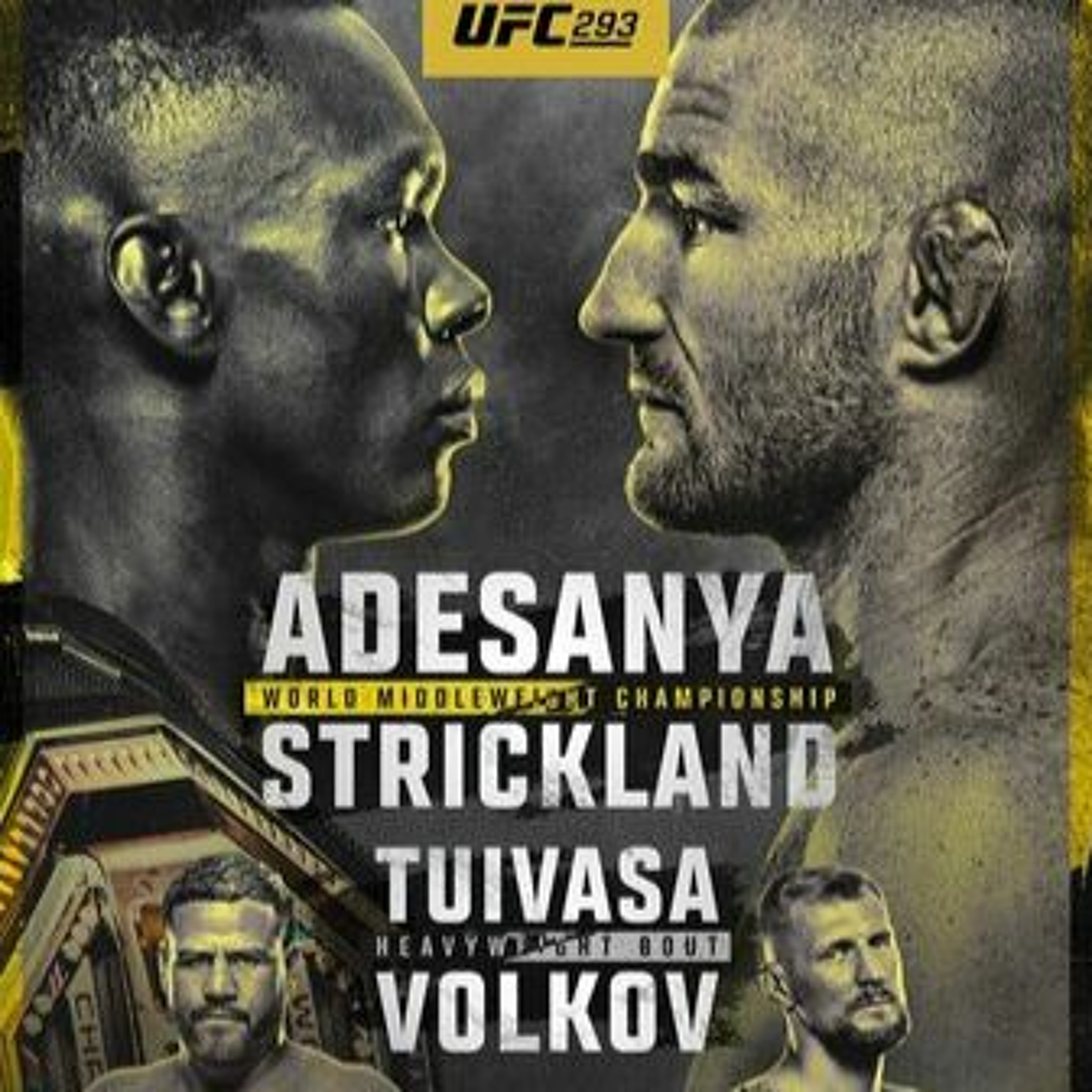 HTHB Shoulder Strikes MMA Podcast Ep. 136: "UFC 293" with Matt McSweeney and Ty Capone thumbnail