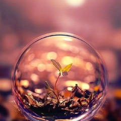 Big Bubble