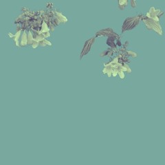 Too good - 10.03.25 - DEMO