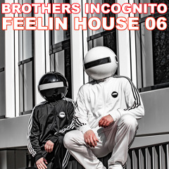 Brothers Incognito - Feelin House 06