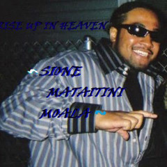 short loc calculated crime