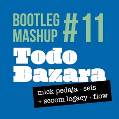 Bootleg Mashup #11 mick pedaja - seis + scoom legacy - flow