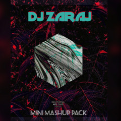 MINI MASHUP (EP MIX)