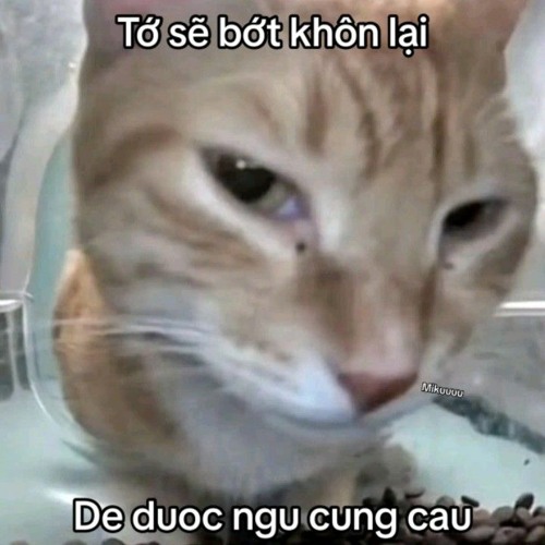 nắng có mang em về(tone nữ)-Yang Remix