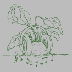 IMPROVED - Day 2 - Boom Bap 808 - 88bpm - D Minor