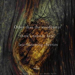 Other than the woodcutter, there's nobody here [naviarhaiku553]