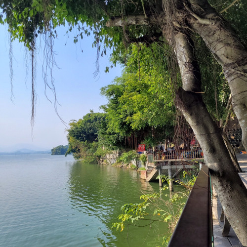 Lắc Lắc Và Nhún Nhún X cắt đôi nỗi sầu