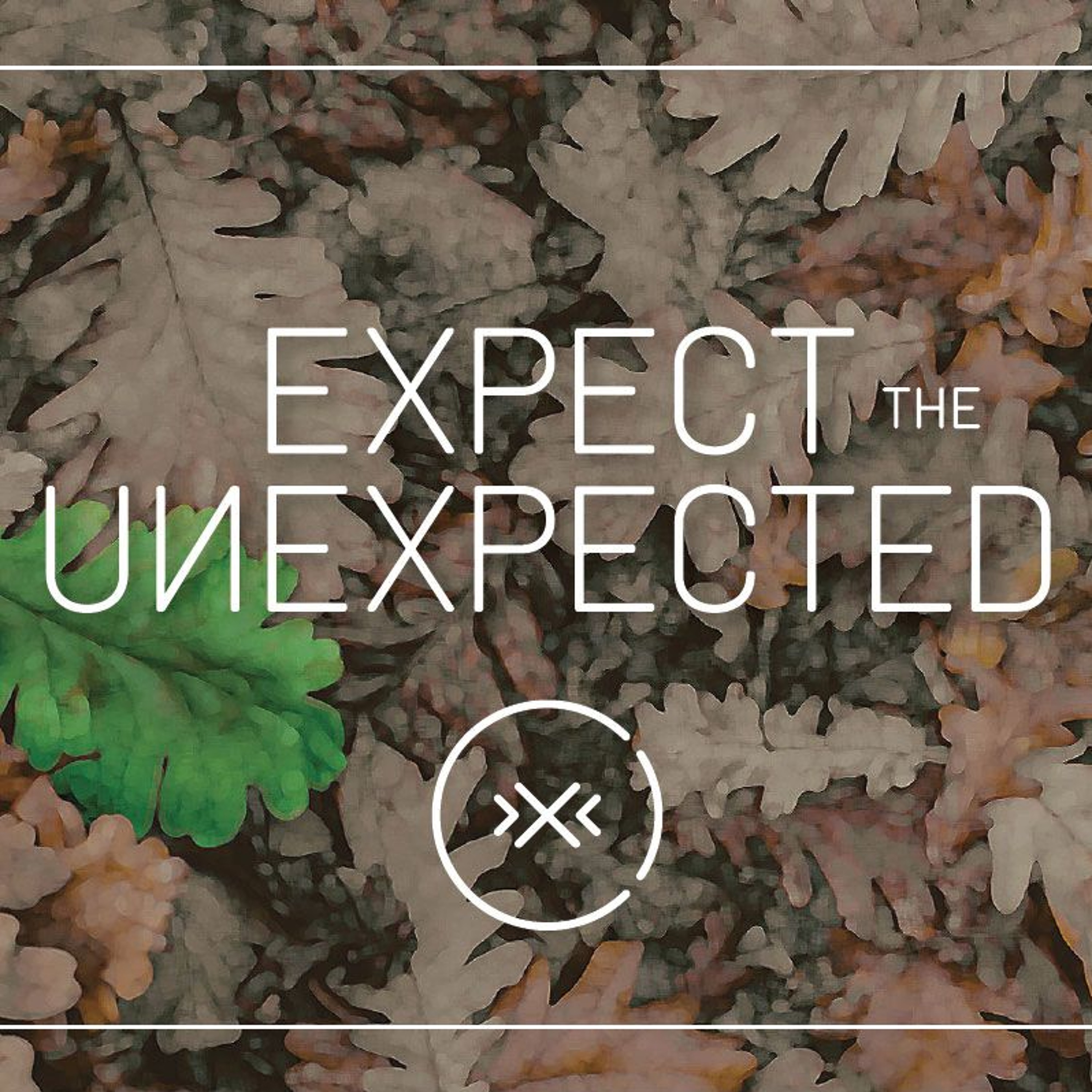 Expect the Unexpected || Hope || Week 2 episode artwork