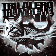 Trilalero Tramalima Funk - Slowed