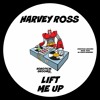 下载视频: Lift Me Up (Robotical Grooves)