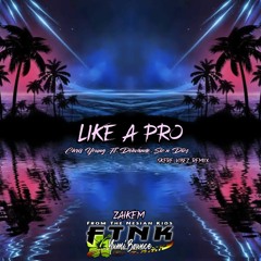 Like A Pro Zaikem Skere Vibez Remiix
