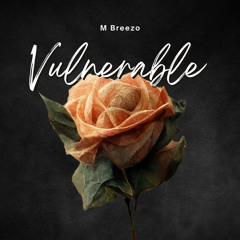VULNERABLE (Prod by Kieh)
