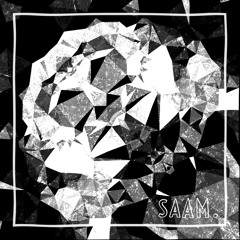 #32-SAAM.