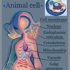 Revenge Of Endoplasmic Reticullum