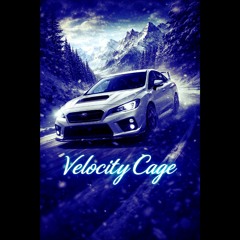 Velocity Cage
