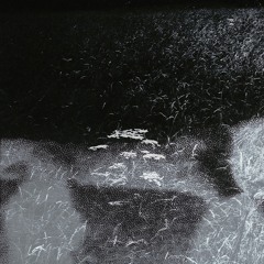 Lili Holland - Fricke & Sean Rogan - dear alien