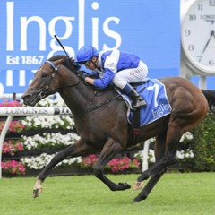 Australian Guineas Day Punting Preview