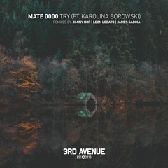 PREMIERE: MATE 0000 - Try feat Karolina Borowski (Jiminy Hop Remix) [3rd Avenue]