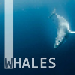 Whales - Dodge Atmosphere Original