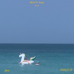 Won't Say Remix ft Joey2.0