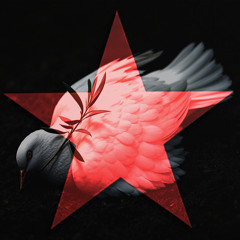Circus over Nothing (Radio Edit)