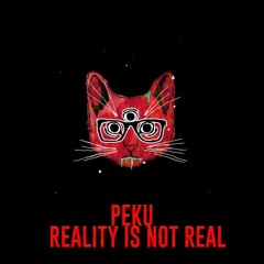 Peku - Reality Is Not Real (Original Mix) [Trippy Cat Music]
