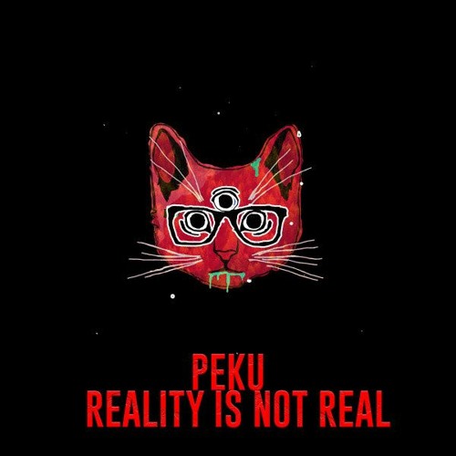 Peku - Reality Is Not Real (Original Mix) [Trippy Cat Music]