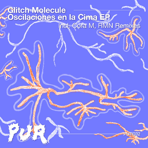 Glitch Molecule - Oscilaciones en la Cima (RMN Remix) [PUR032]