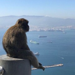 moja laska je slepa 😔