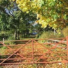 Ord over grind, Semesteroppåve i arrangering og innføring i komposisjon