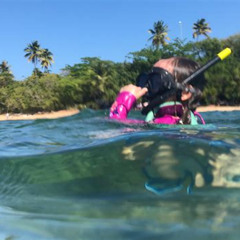 Best Pirate Snorkeling Shack Puerto Rico Prices Reviews