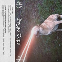 DOGGO TAPE: Nas1 - side A (cassette rip)