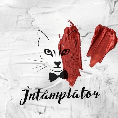 The Motans - Intamplator ( Remix)