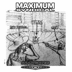 Brainwave X MaximumSyndical
