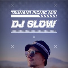 Tsunami Picnic 2022 Mix