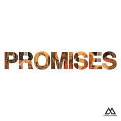 Promises (feat. Naomi Raine) (Radio Version)
