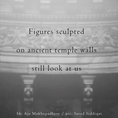 Still Look [naviarhaiku321]