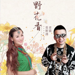 野花香（DJ咚鼓版）